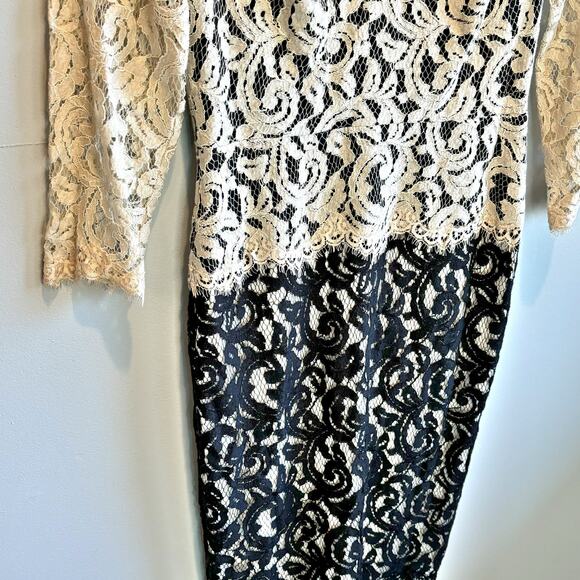 Tadashi Shoji Antique Lace Dress - 4 Petite - Picture 3 of 6